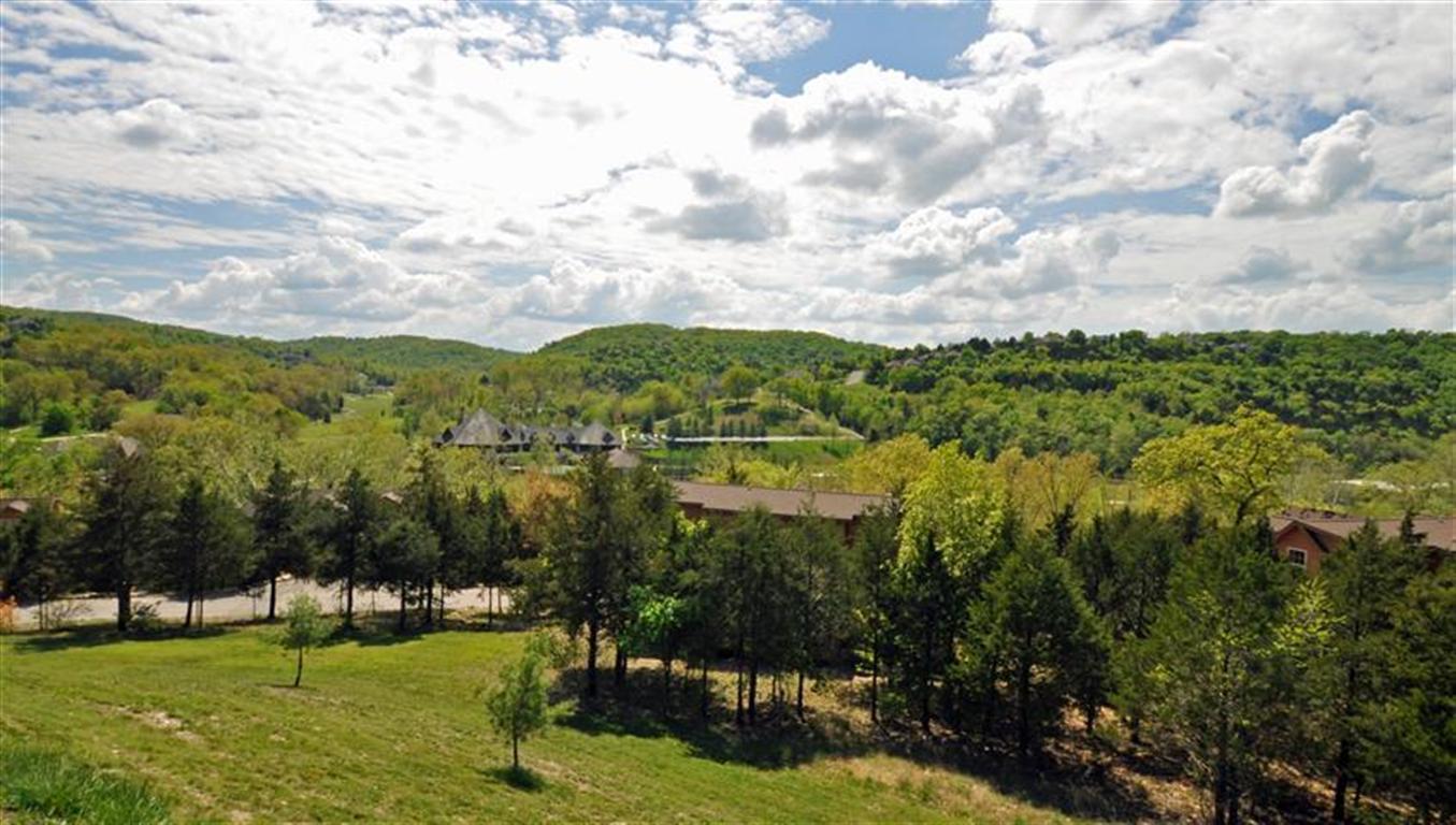 0 Forest Lake Drive Reeds Spring, MO 65737 - Photo 1 of 1 Long View.jpg