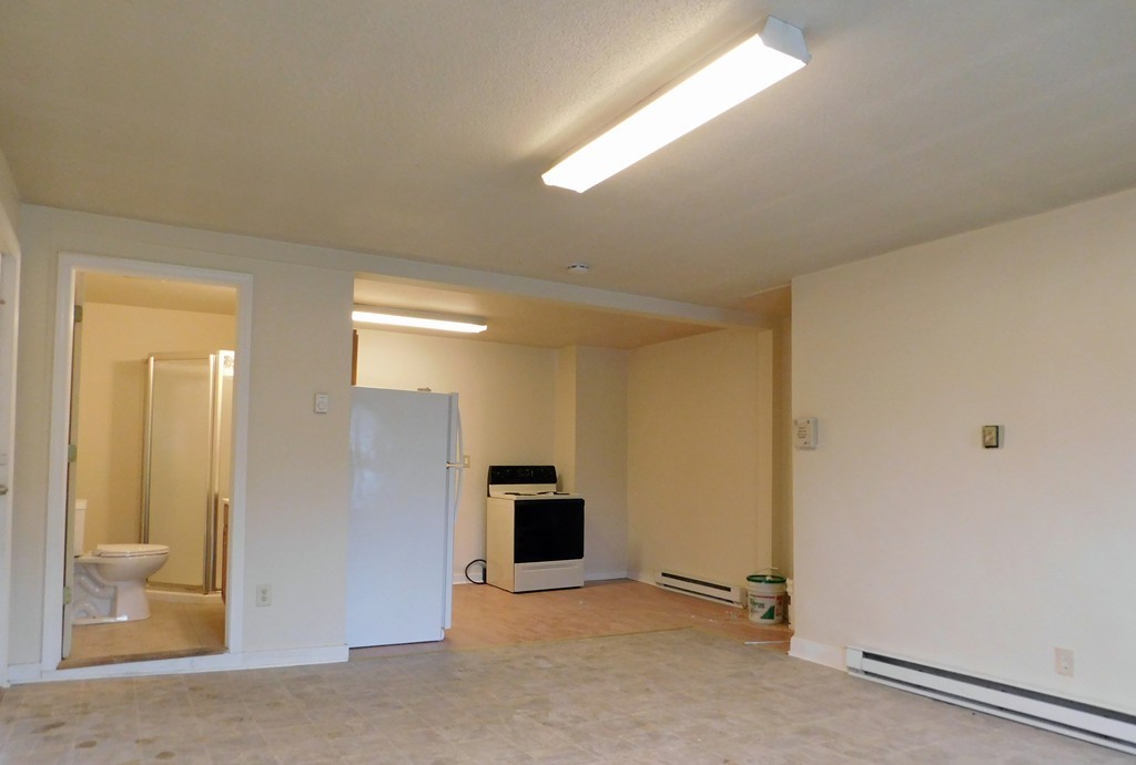 43-49 Oak Street Springfield, MA 01109 - Photo 3 of 8 a view of a livingroom with a fireplace