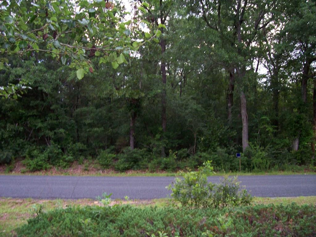 0 Wagener Trail Road Wagener, SC 29164 - Photo 2 of 2