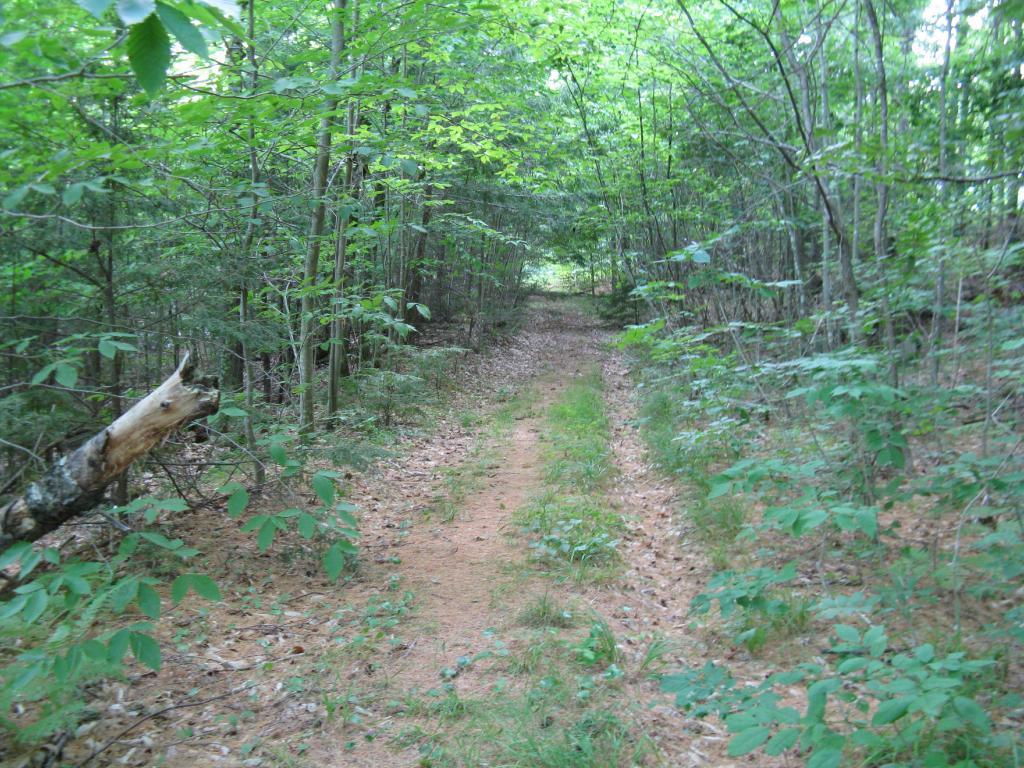 53 Orford Road Wentworth, NH 03282 - Photo 32 of 36 Gallery Image 32