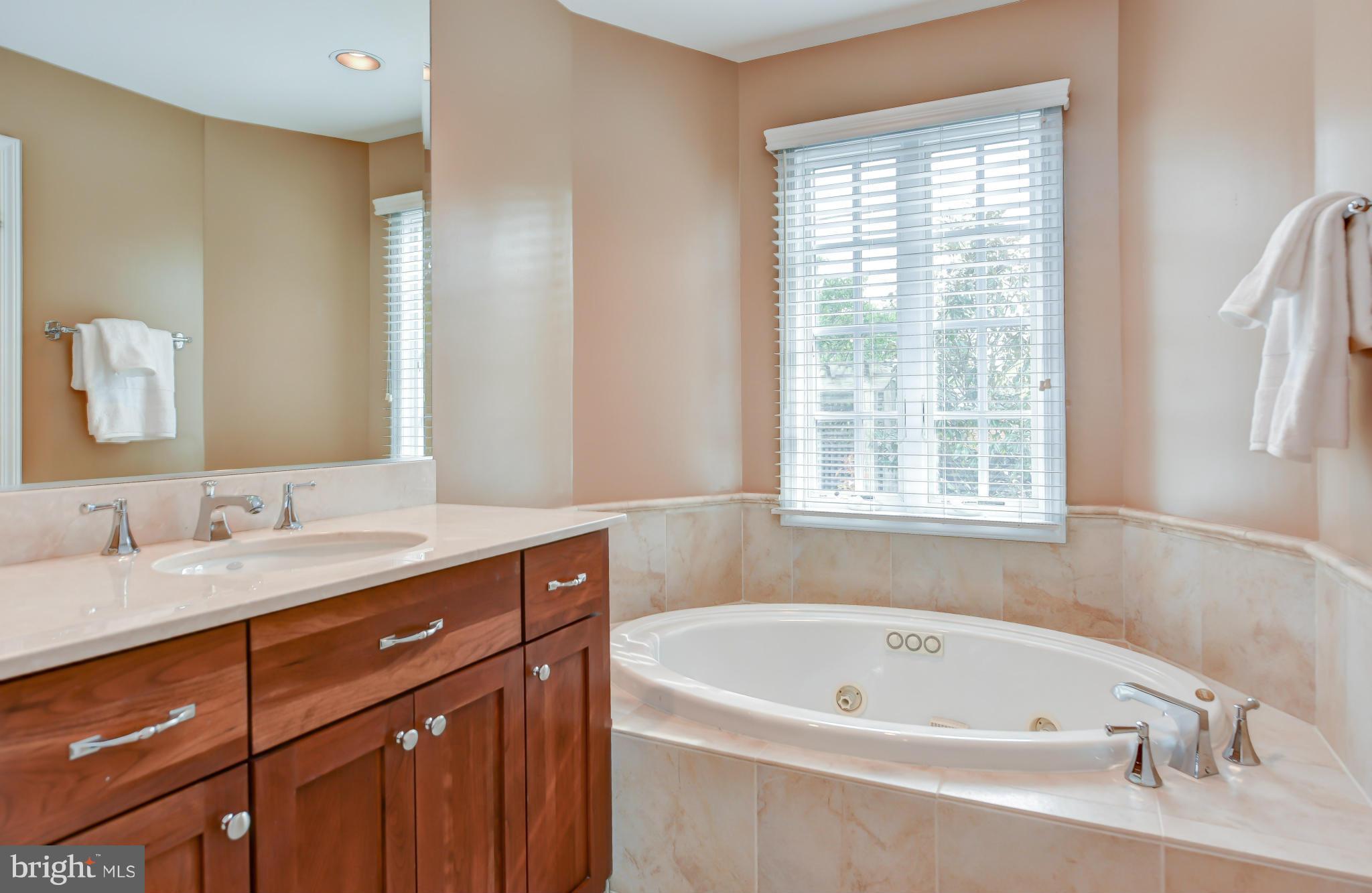 2107 Windsor Road Alexandria, VA 22307 - Photo 19 of 37 Bath (Master)