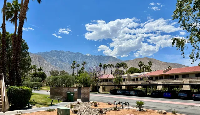 a view of swimming pool with a yard