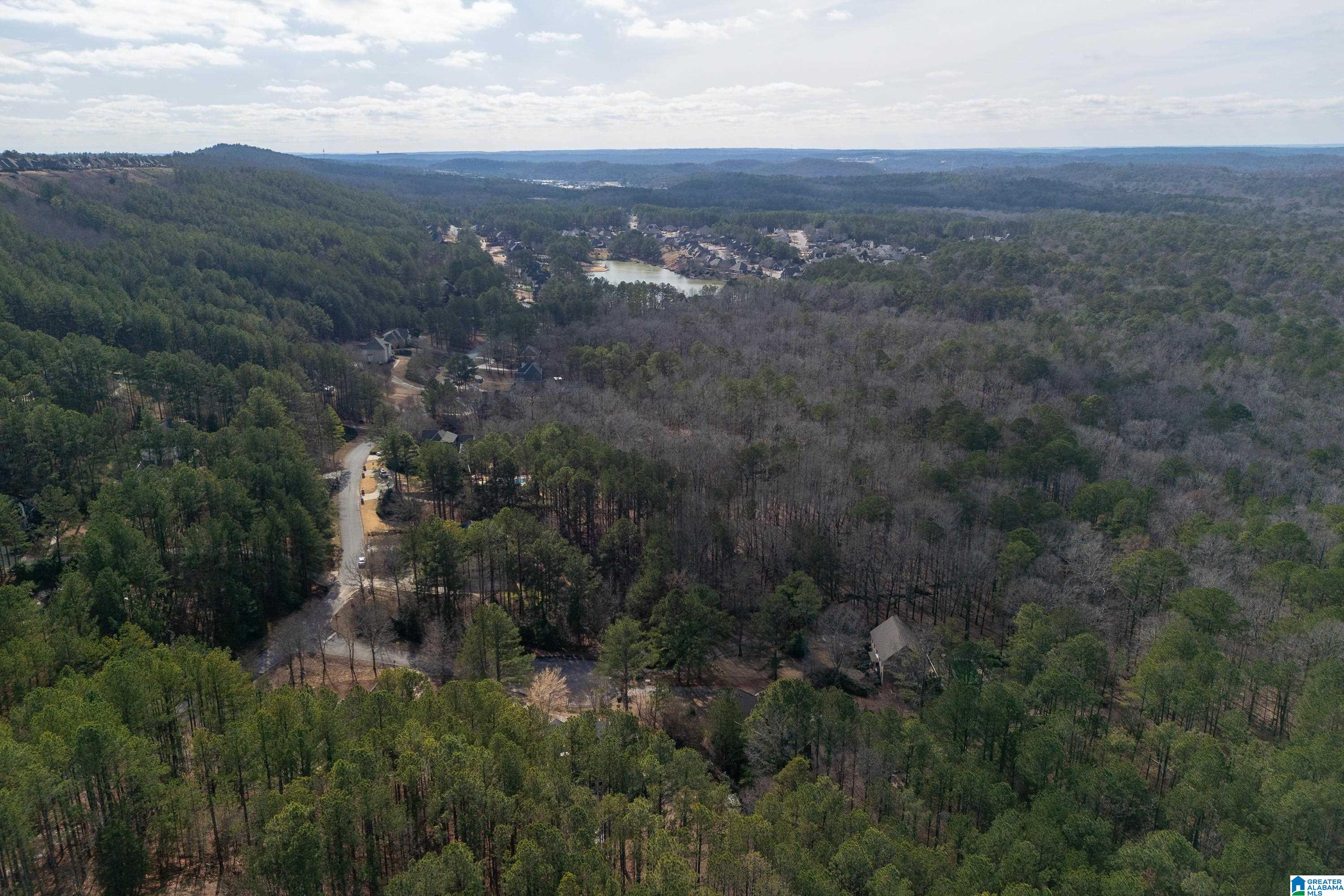 104 Windsor Trail Pelham, AL 35124 - Photo 75 of 79