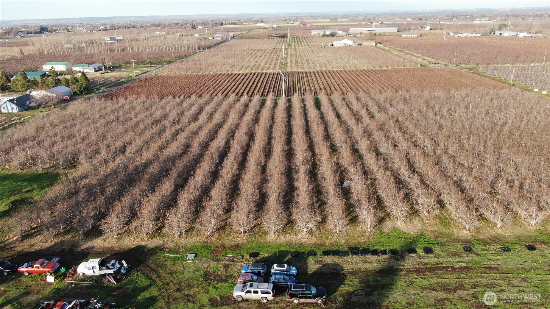 0 Yellowjacket Road Milton Freewater, OR 97862 - Photo 3 of 6