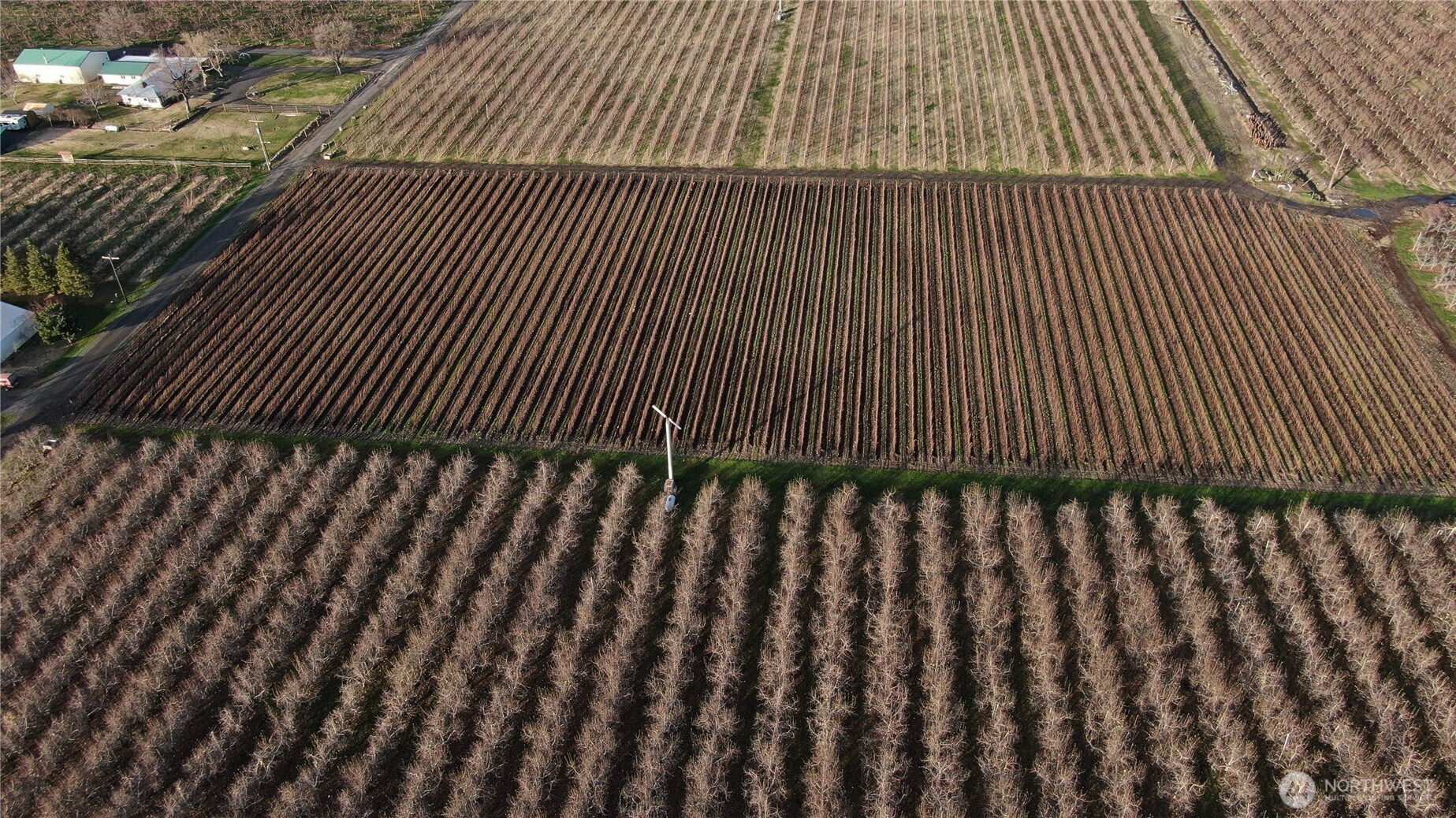 0 Yellowjacket Road Milton Freewater, OR 97862 - Photo 4 of 6