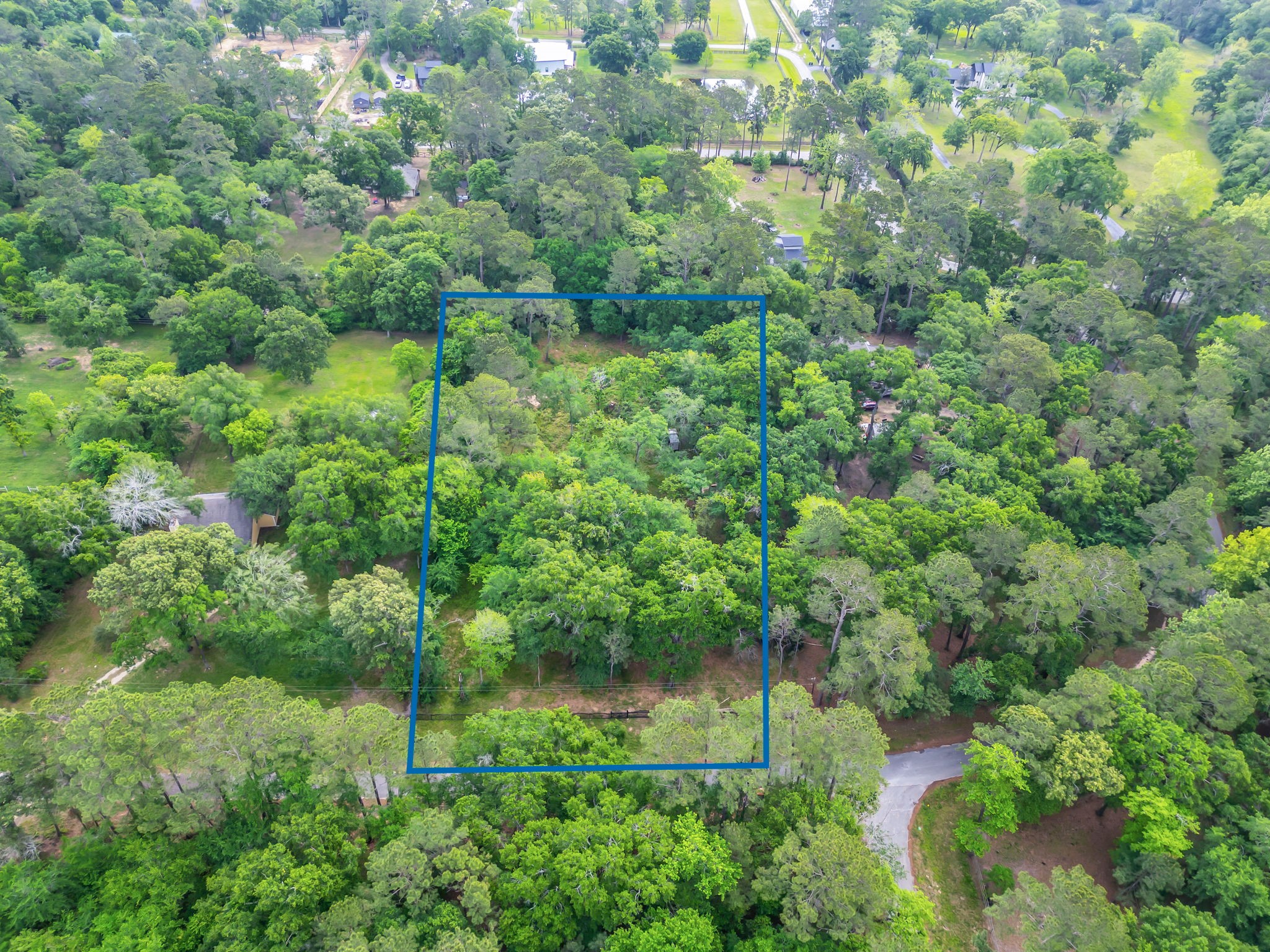 24466 Pine Creek Road Hockley, TX 77447 - Photo 4 of 16