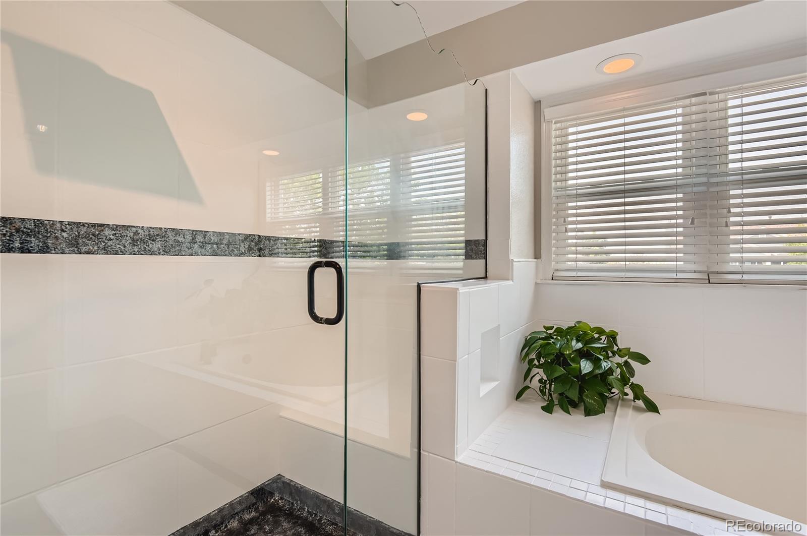 9212 Princeton Street Highlands Ranch, CO 80130 - Photo 22 of 40 a bathroom with a shower and a bathtub