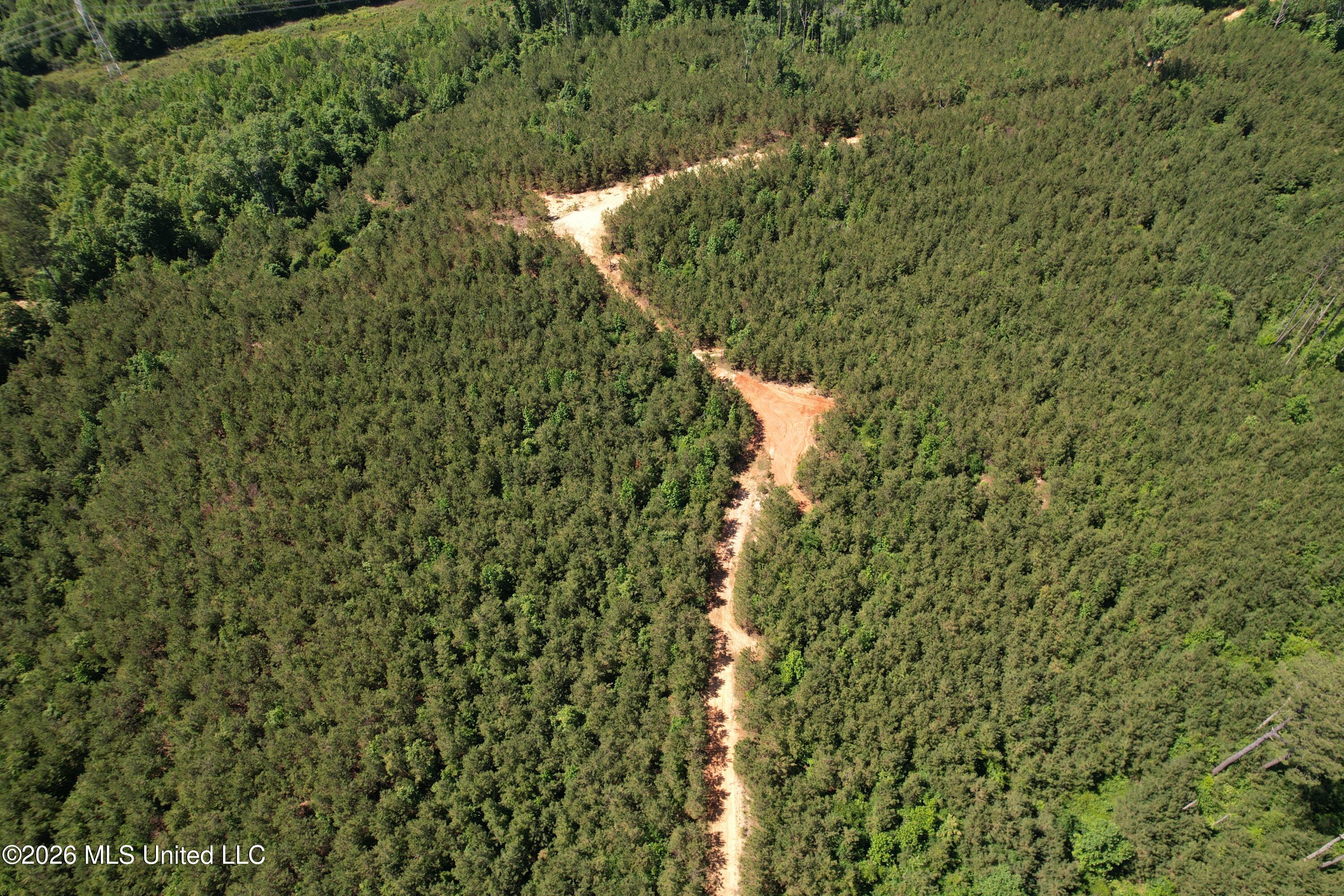 Couparle Road Camden, MS 39045 - Photo 4 of 47 DJI_0120