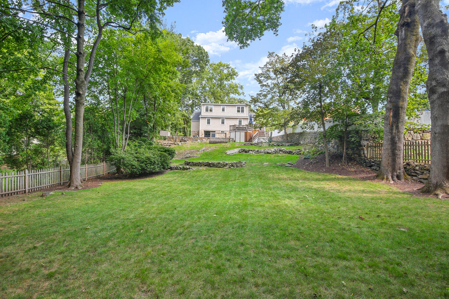 25 Butler Street Greenwich, CT 06807 - Photo 32 of 37 a view of a big yard with plants and large trees