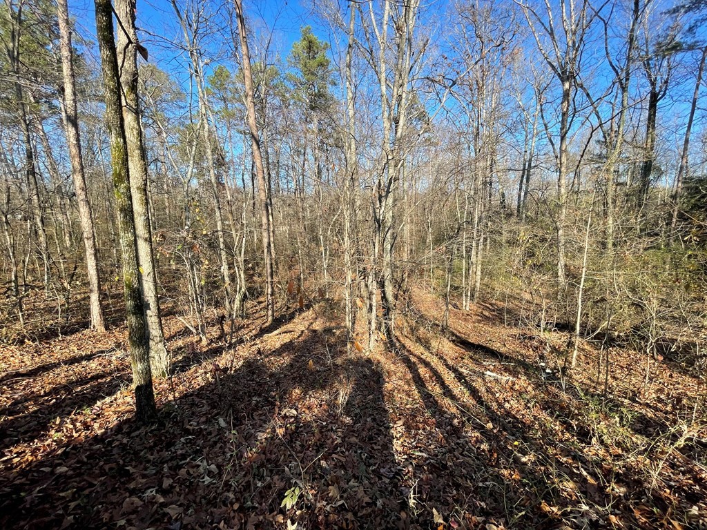 0 Runyan Road Georgetown, TN 37336 - Photo 17 of 19 Gallery Image 17