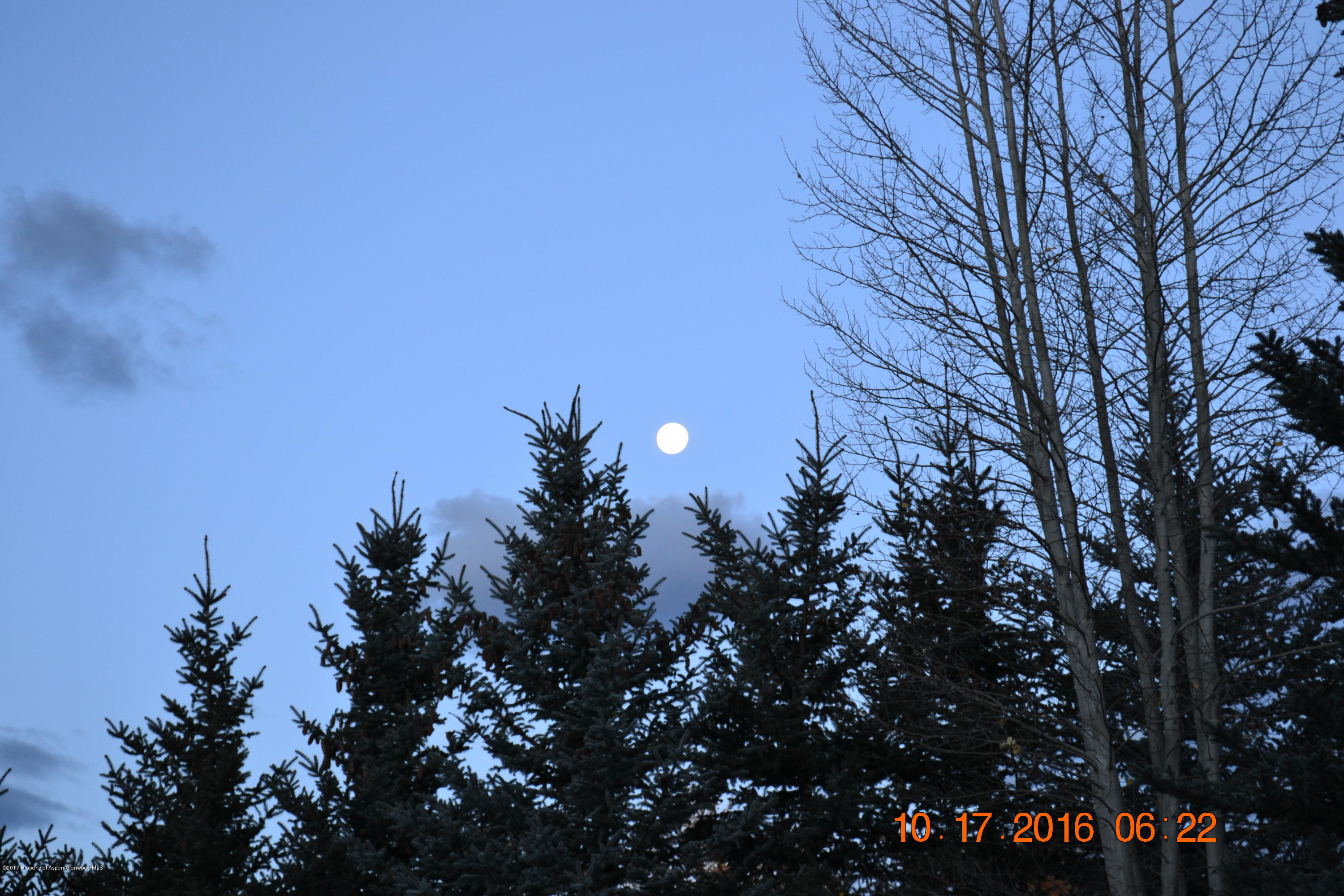 144 Haystack Lane Snowmass, CO 81654 - Photo 36 of 40