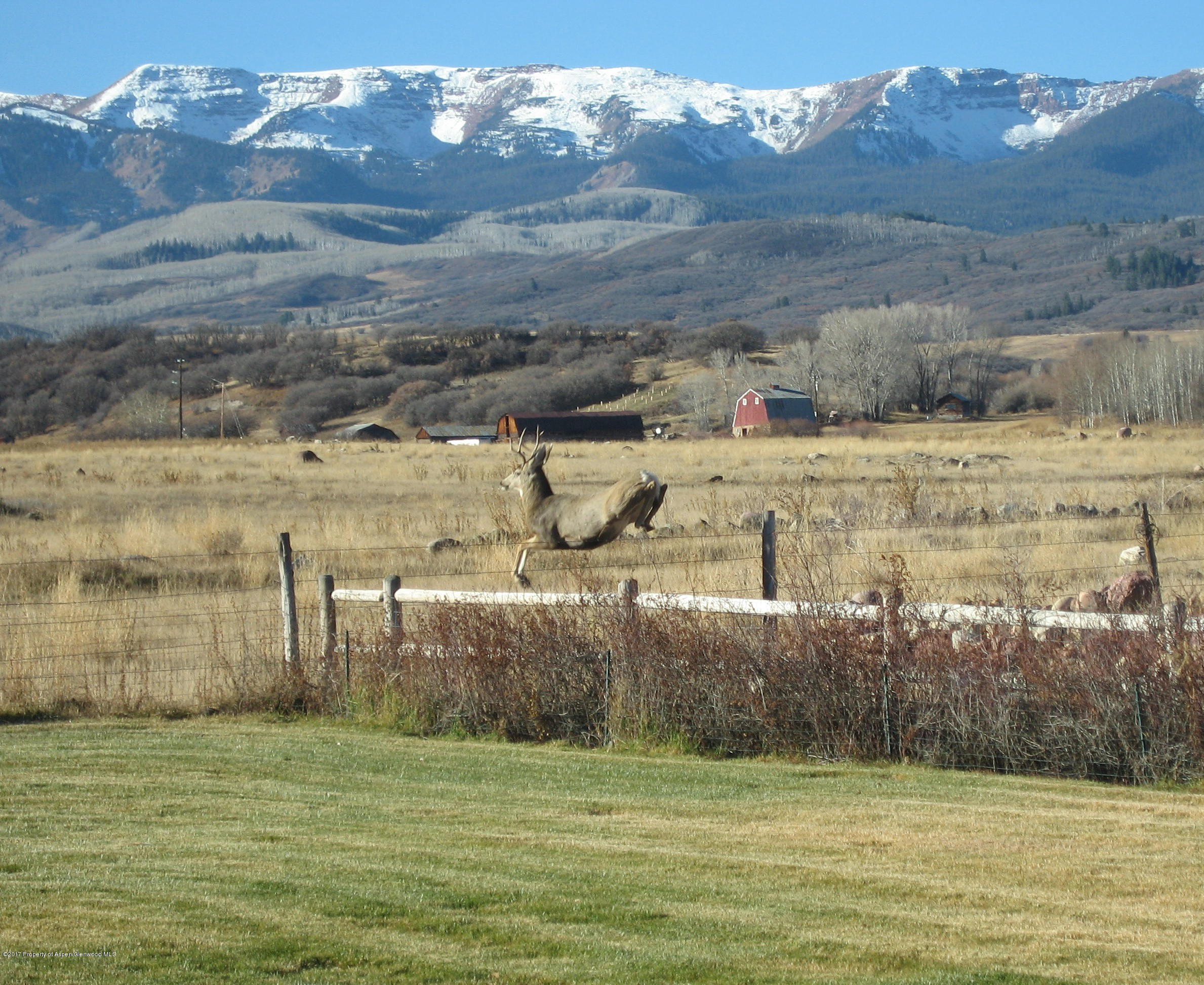 144 Haystack Lane Snowmass, CO 81654 - Photo 38 of 40 a view of a yard