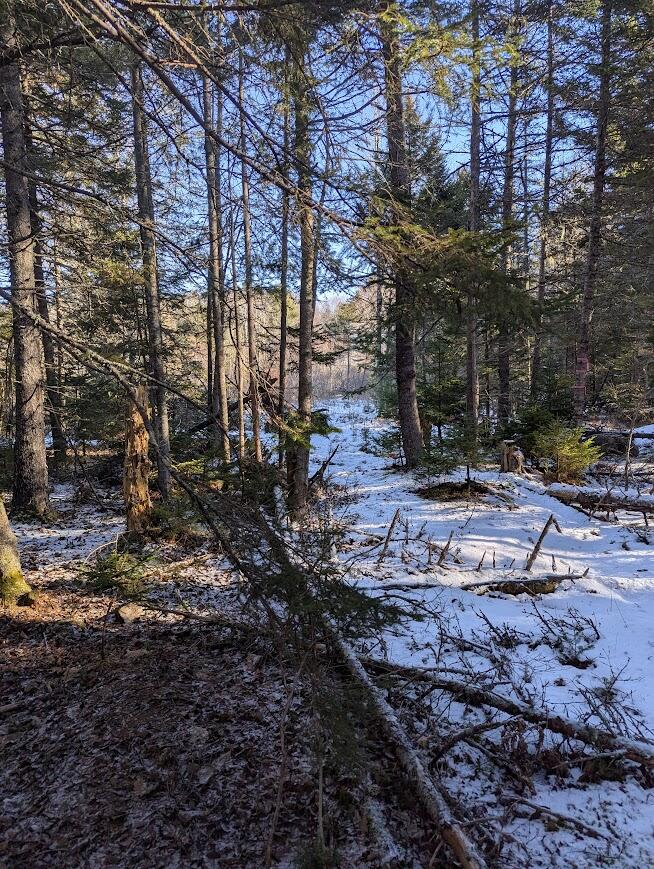 19 Tamarack Lane Cushing, ME 04563 - Photo 11 of 13
