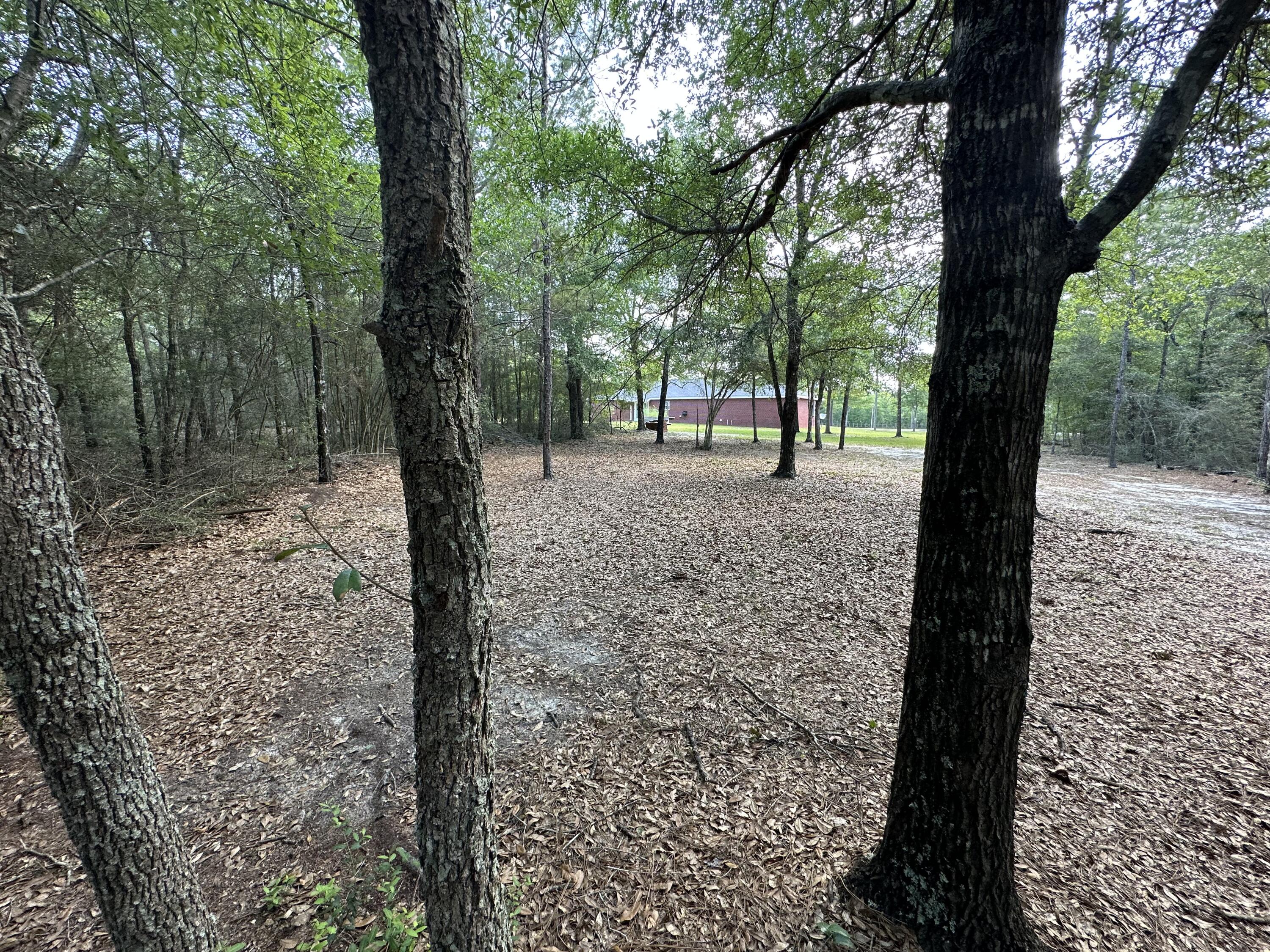 5570 Mt Olive Road Crestview, FL 32539 - Photo 31 of 34 a view of a forest with trees