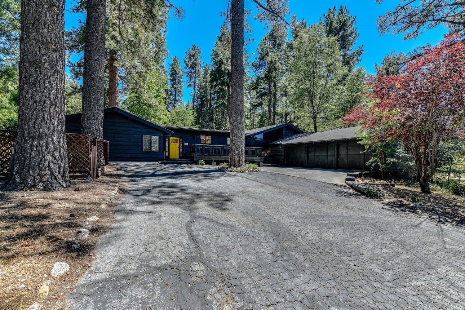 53155 Tollgate Road Idyllwild, CA 92549 - Photo 1 of 47 a front view of a house with a yard and tree s