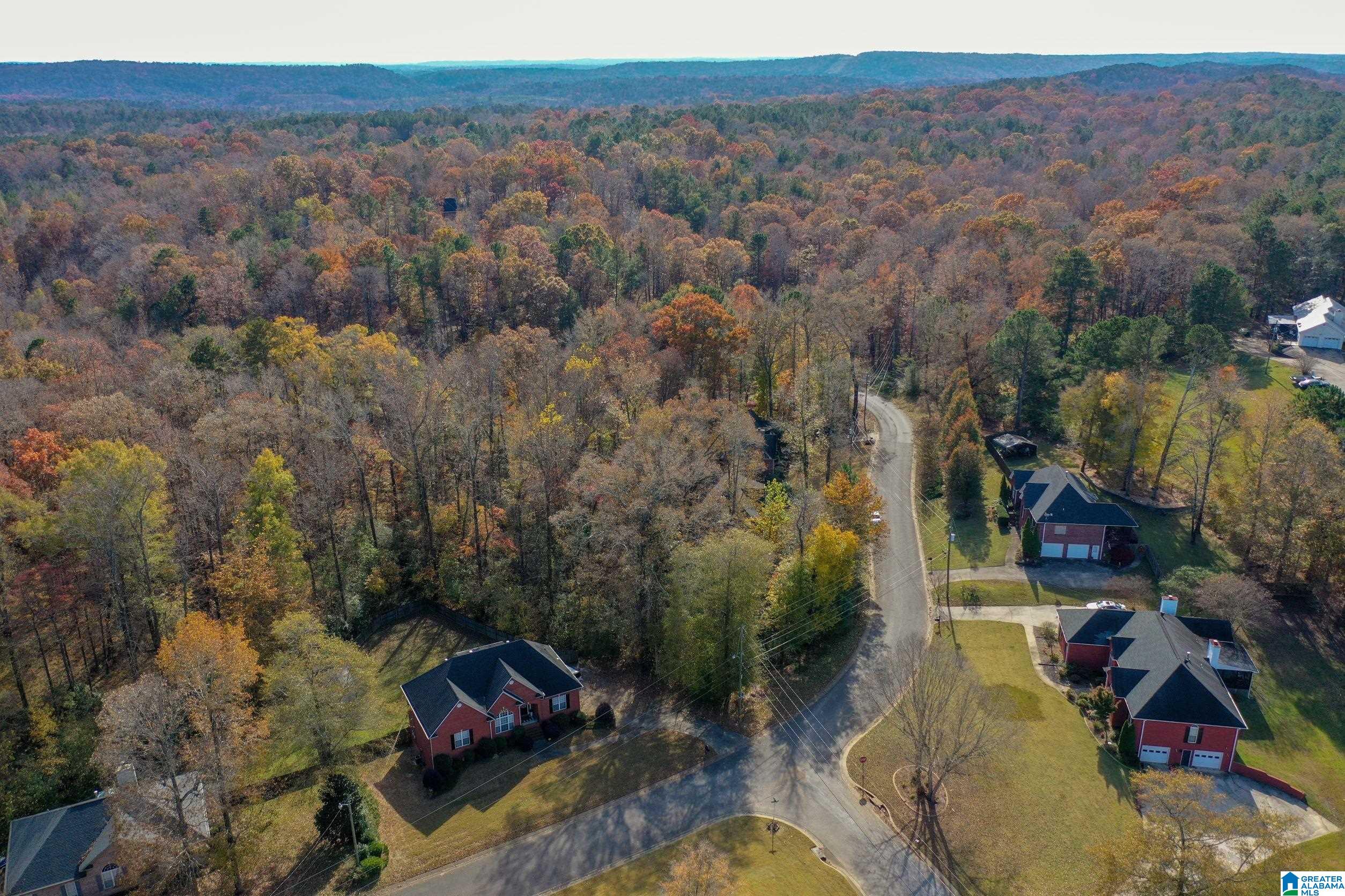 8278 Serene Lake Road, Unit 61 McCalla, AL 35111 - Photo 8 of 18