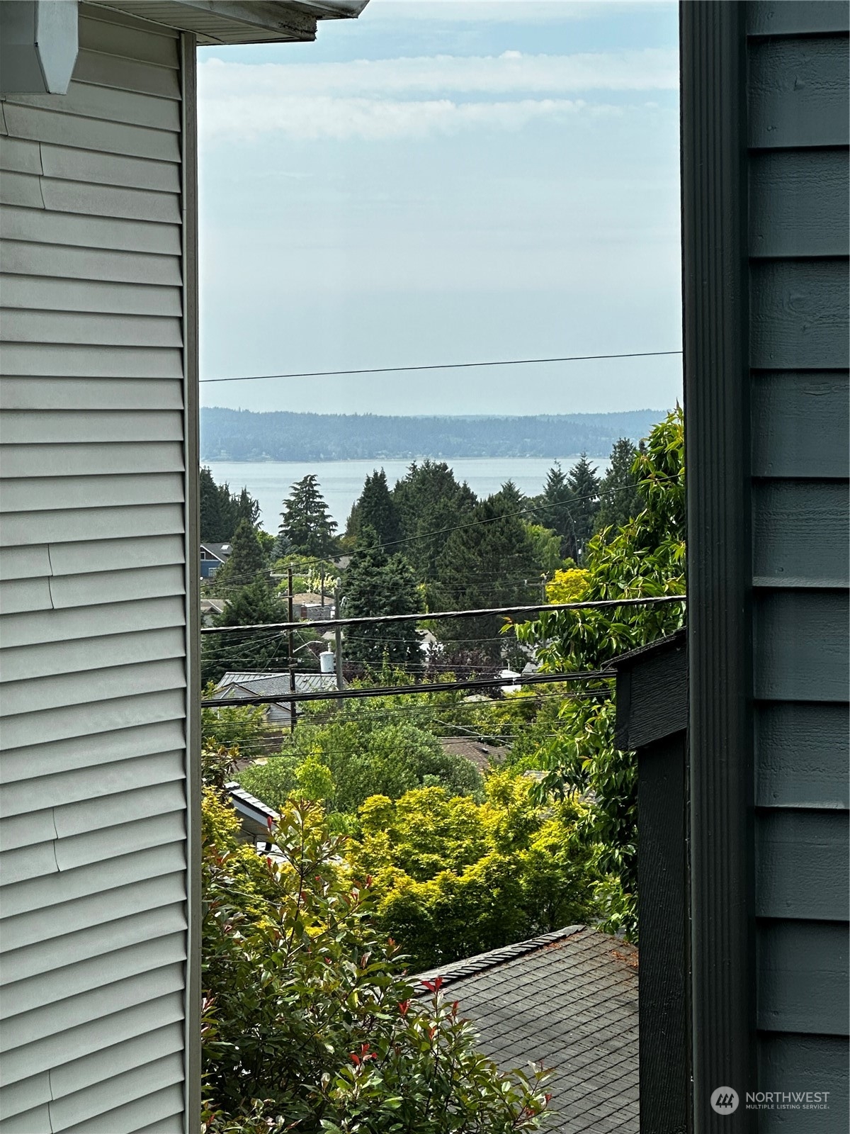 5935 California Avenue Southwest Seattle, WA 98136 - Photo 23 of 32 a view of a garden