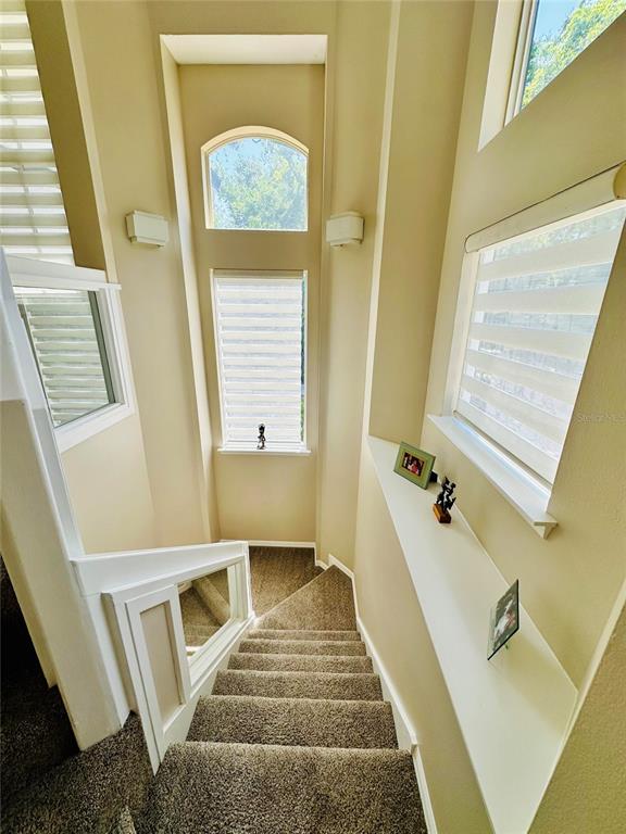 784 South Pennsylvania Avenue Winter Park, FL 32789 - Photo 18 of 29 a walk in closet with wooden floor