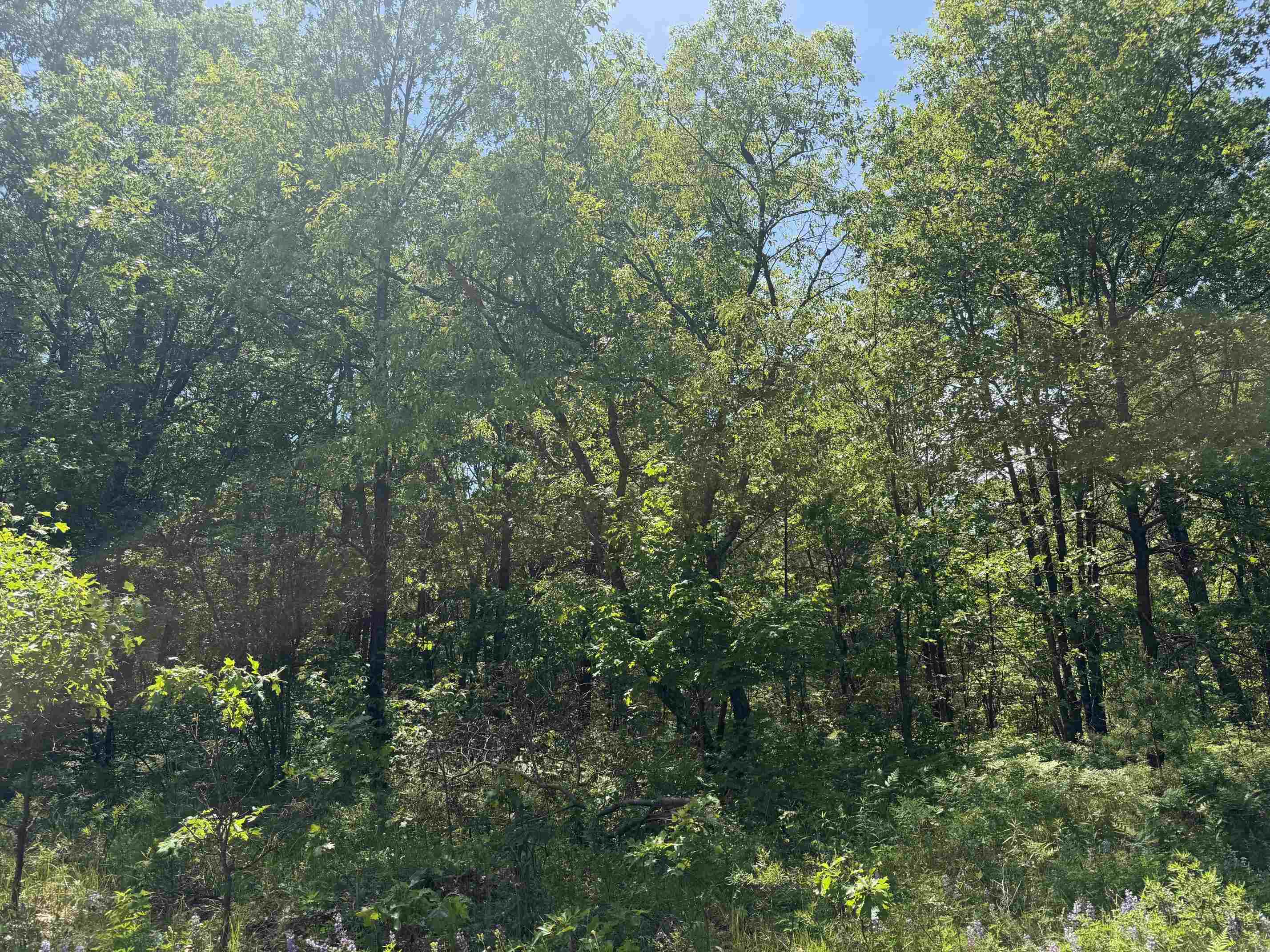 North Court, Unit 49 Shawano, WI 54166 - Photo 2 of 19
