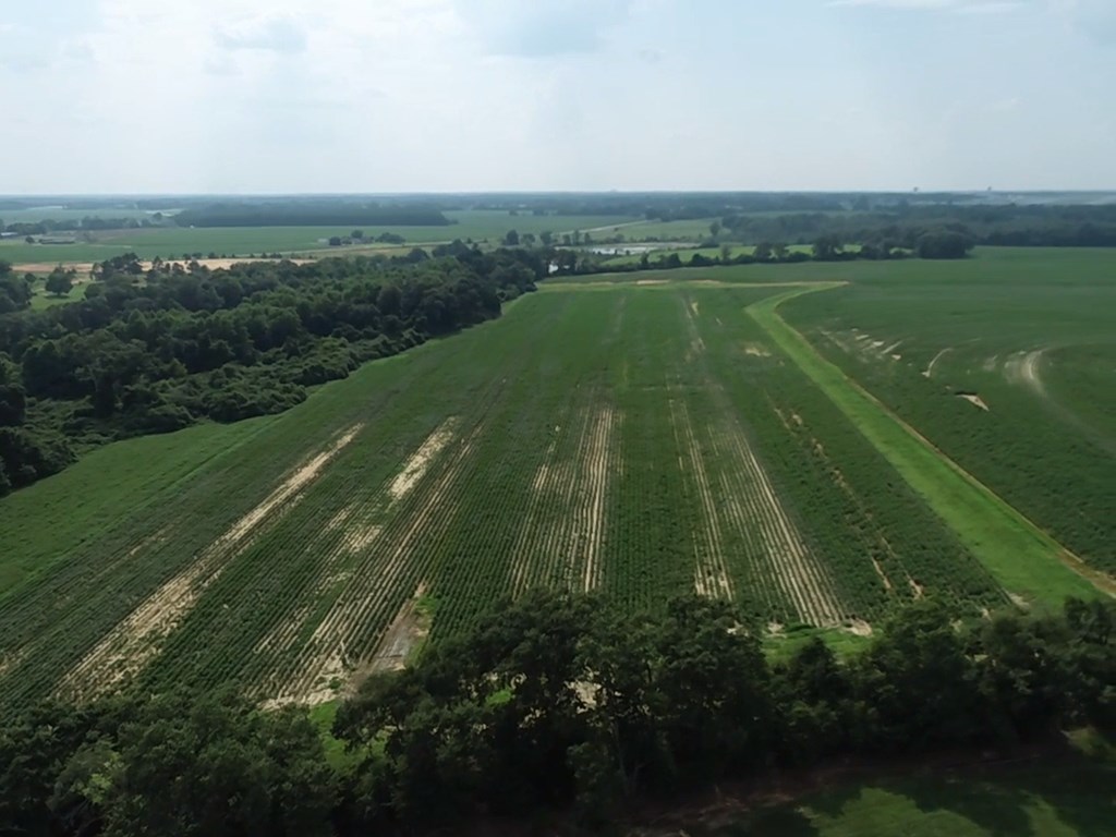 132.3-ac Green Road Dothan, AL 36303 - Photo 35 of 63