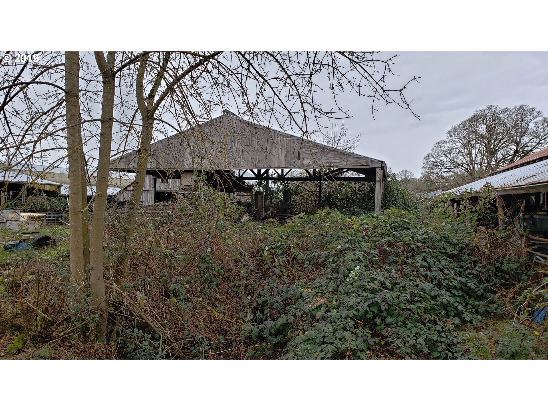 12999 South Dart Road Molalla, OR 97038 - Photo 14 of 31