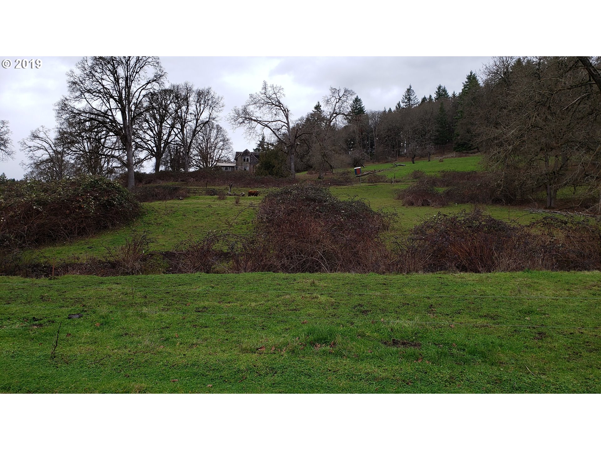 12999 South Dart Road Molalla, OR 97038 - Photo 3 of 31