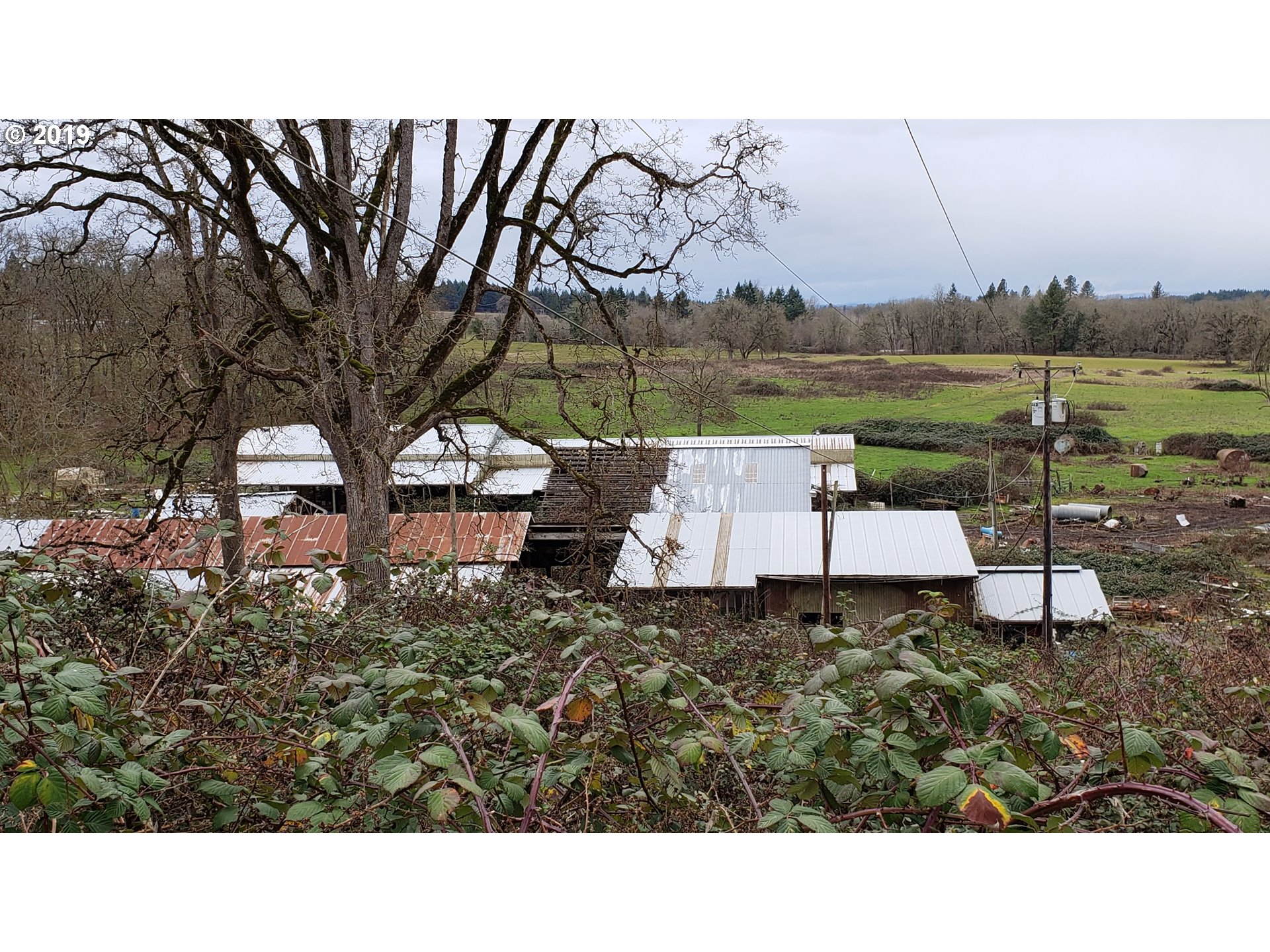 12999 South Dart Road Molalla, OR 97038 - Photo 26 of 31