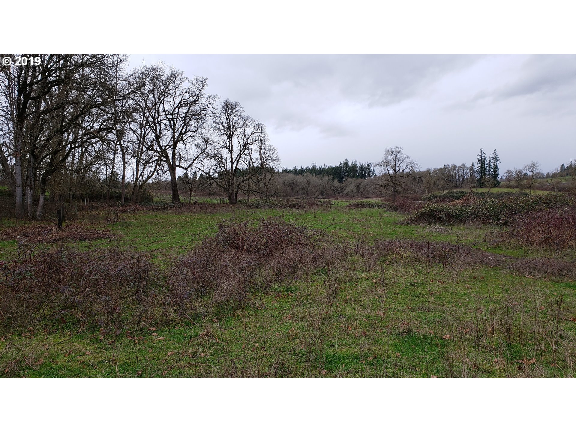 12999 South Dart Road Molalla, OR 97038 - Photo 7 of 31