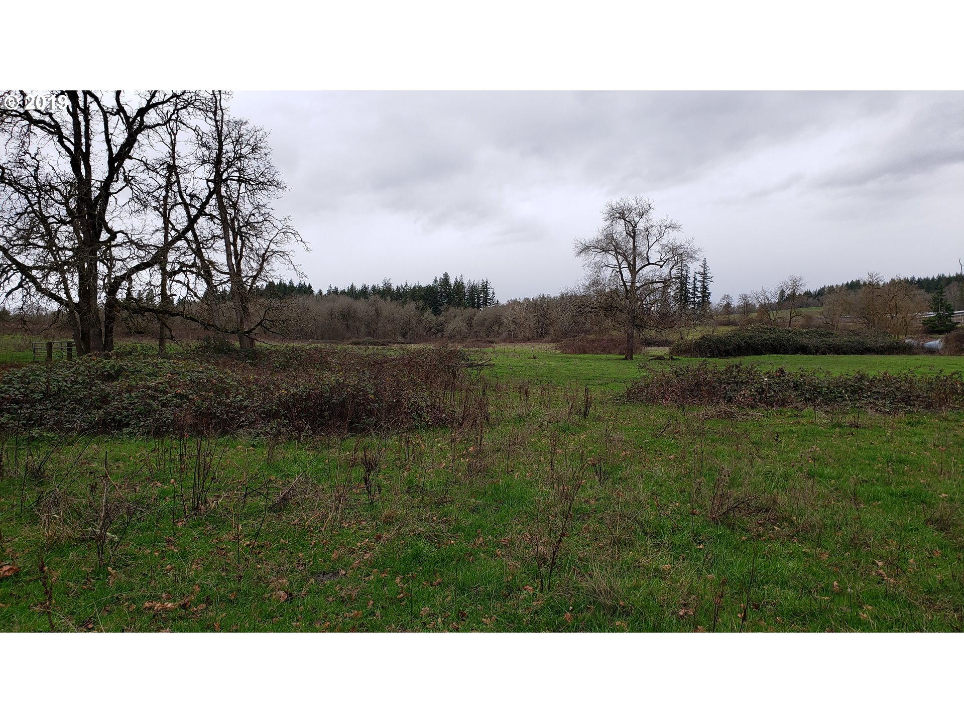 12999 South Dart Road Molalla, OR 97038 - Photo 9 of 31