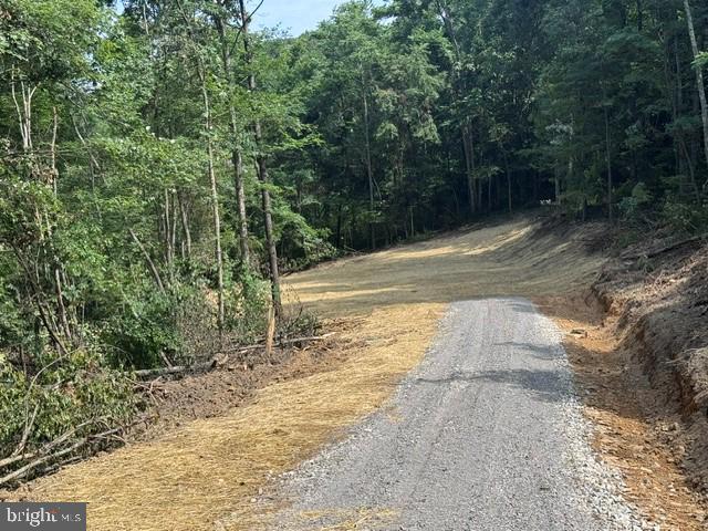 Tbd Locust Grove Road Thornton, WV 26440 - Photo 7 of 24