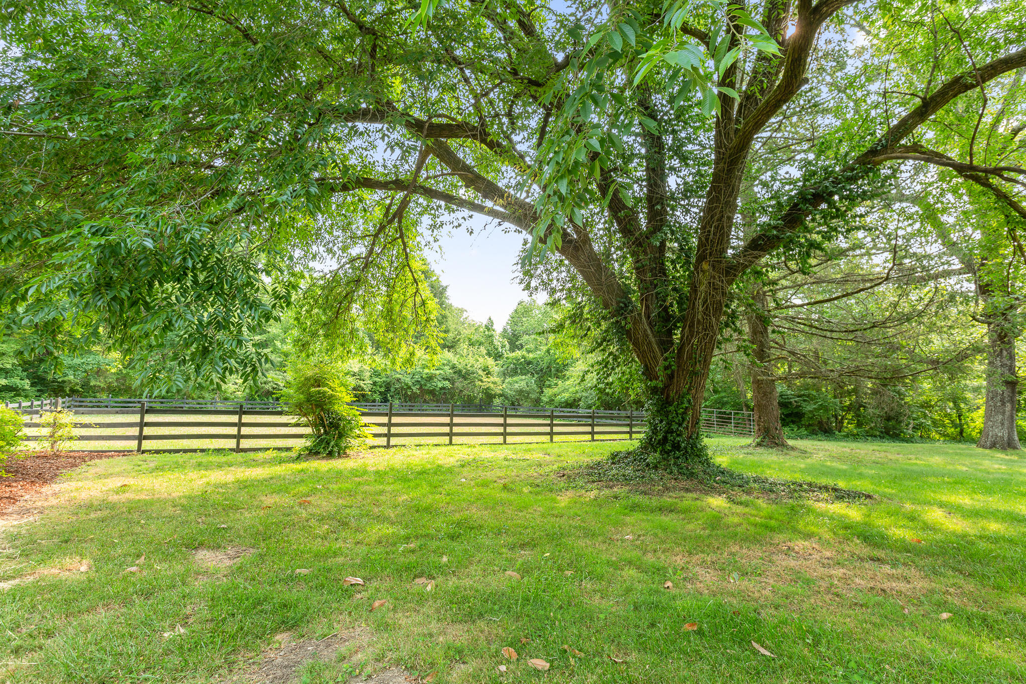 1701 Hollister Road Signal Mountain, TN 37377 - Photo 54 of 56 Acreage