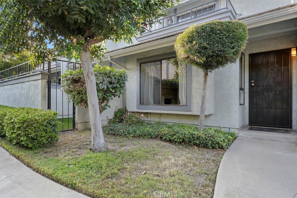 a potted plant in front of a house