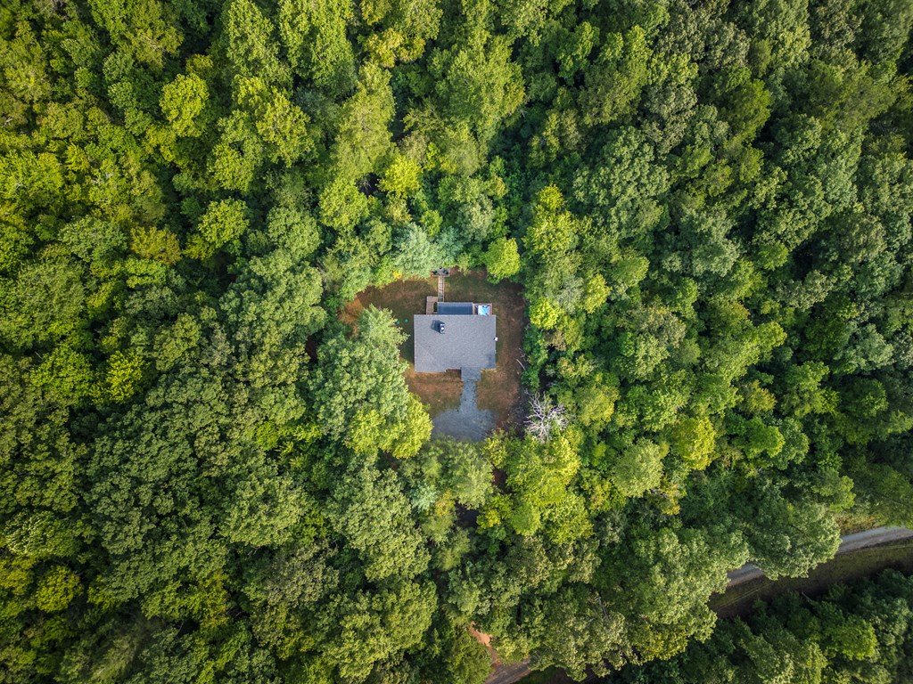 1421 Kelly Ridge Drive Blue Ridge, GA 30513 - Photo 24 of 36