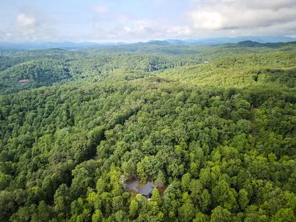 a view of a green field with lots of bushes