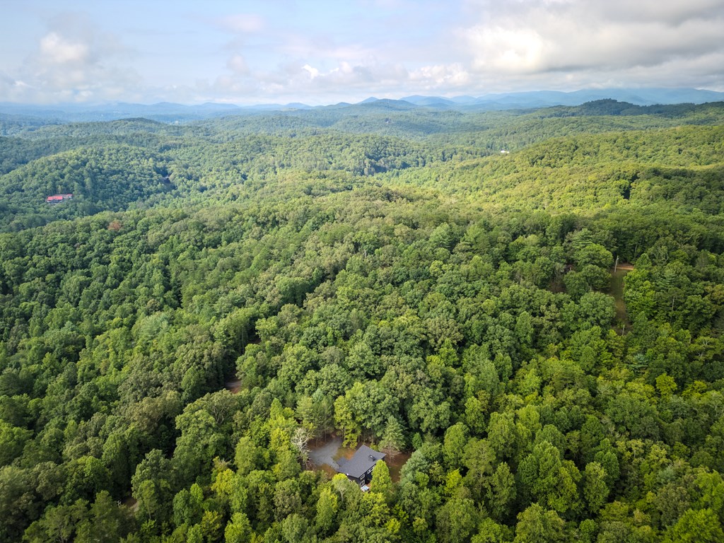 1421 Kelly Ridge Drive Blue Ridge, GA 30513 - Photo 25 of 36