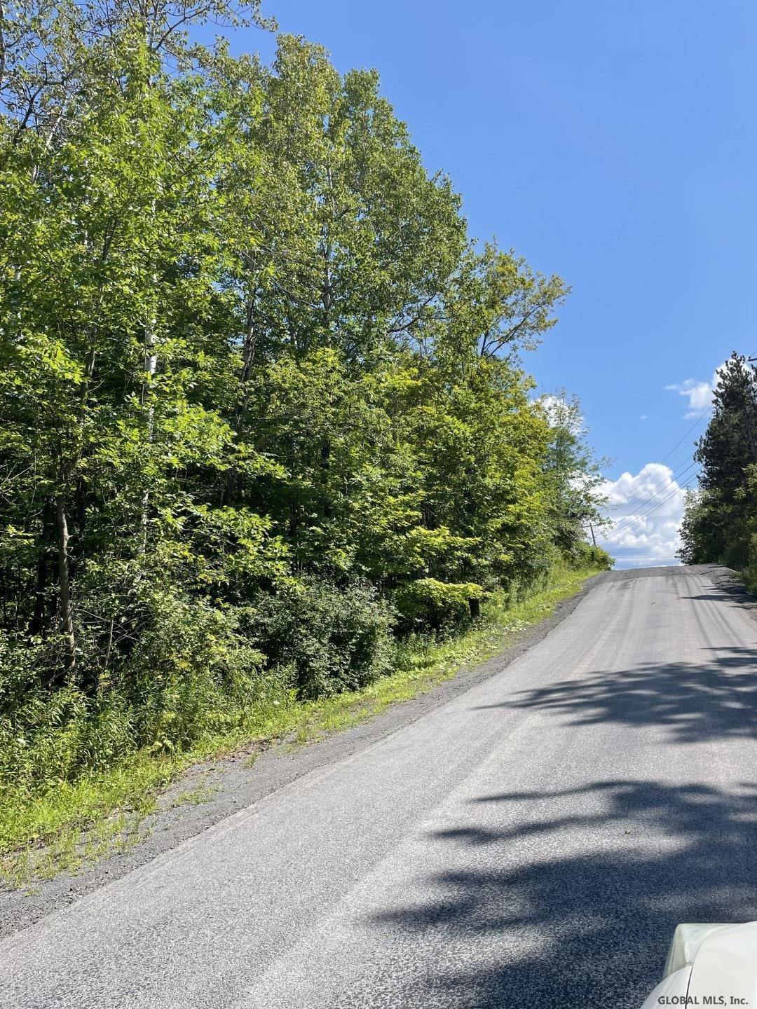 Cross Road Delanson, NY 12053 - Photo 3 of 10 Photo 3