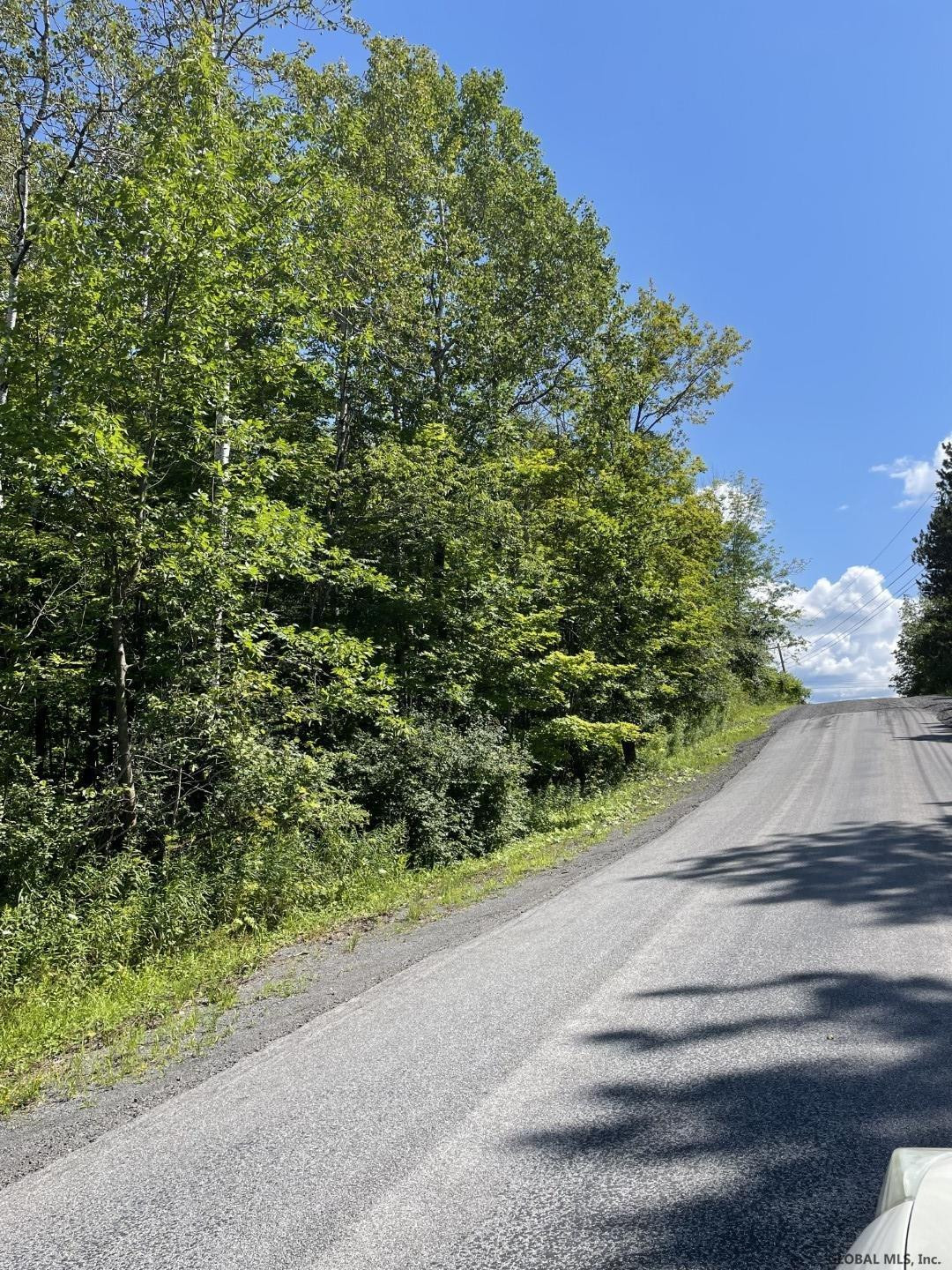 Cross Road Delanson, NY 12053 - Photo 7 of 10 Photo 7