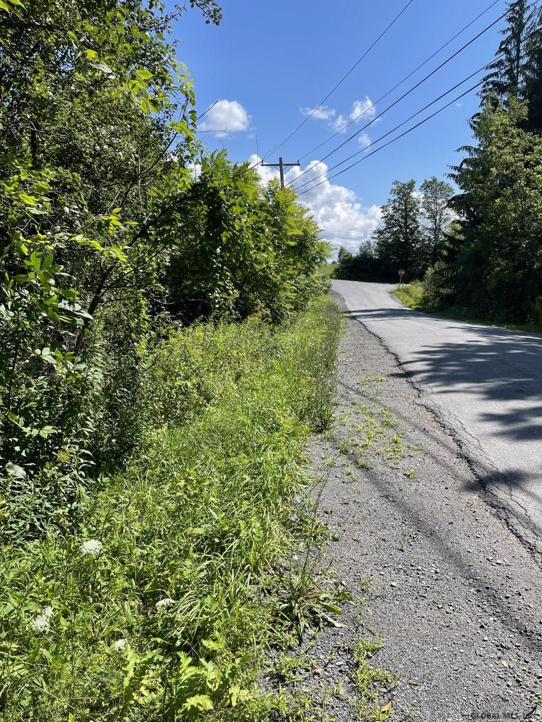 Cross Road Delanson, NY 12053 - Photo 8 of 10 Photo 8