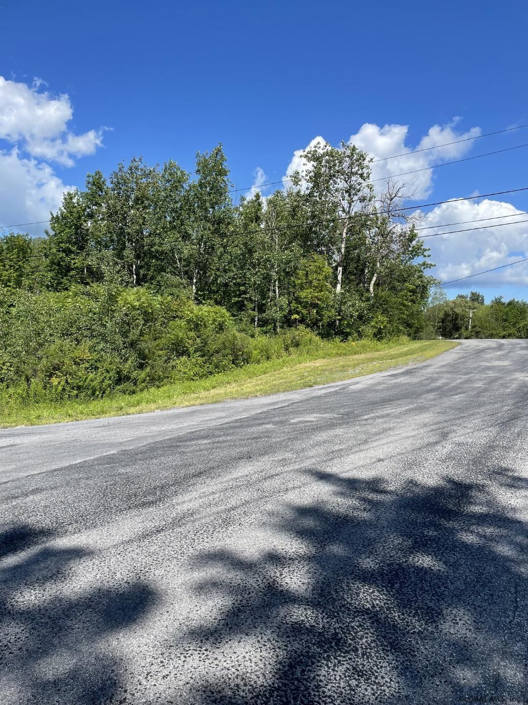 Cross Road Delanson, NY 12053 - Photo 9 of 10 Photo 9