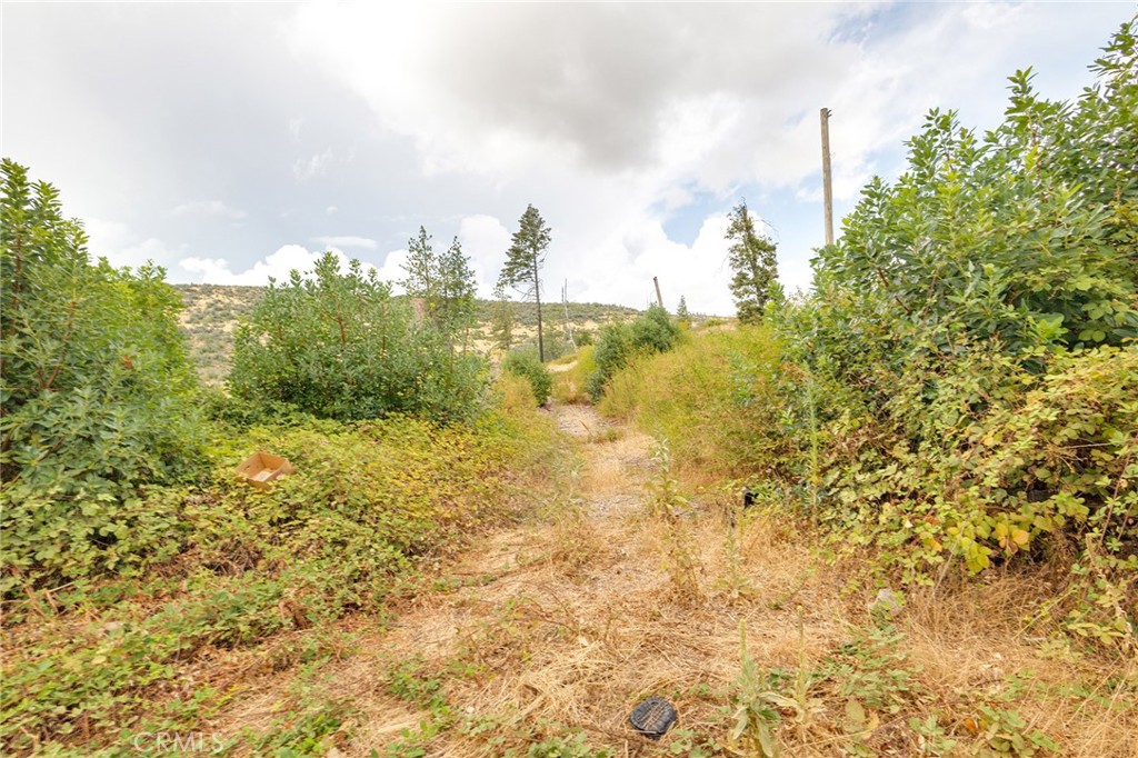 11510 Aureole Way Oroville, CA 95965 - Photo 12 of 26