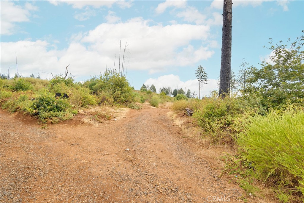 11510 Aureole Way Oroville, CA 95965 - Photo 6 of 26