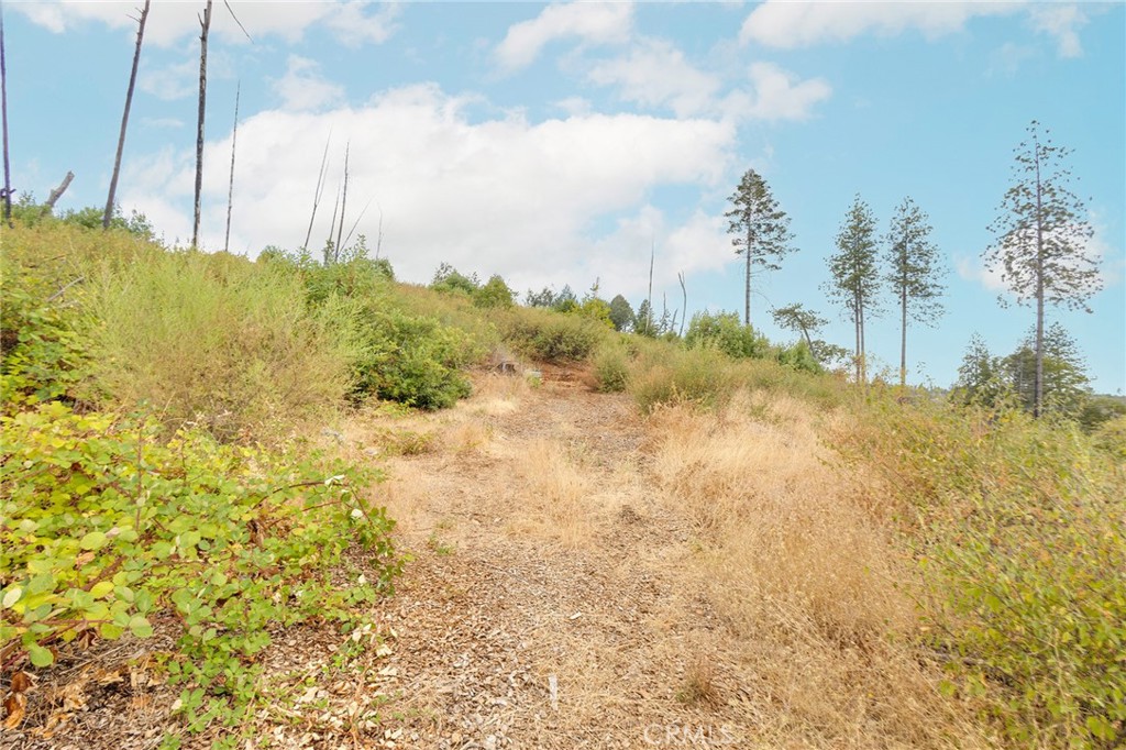 11510 Aureole Way Oroville, CA 95965 - Photo 8 of 26