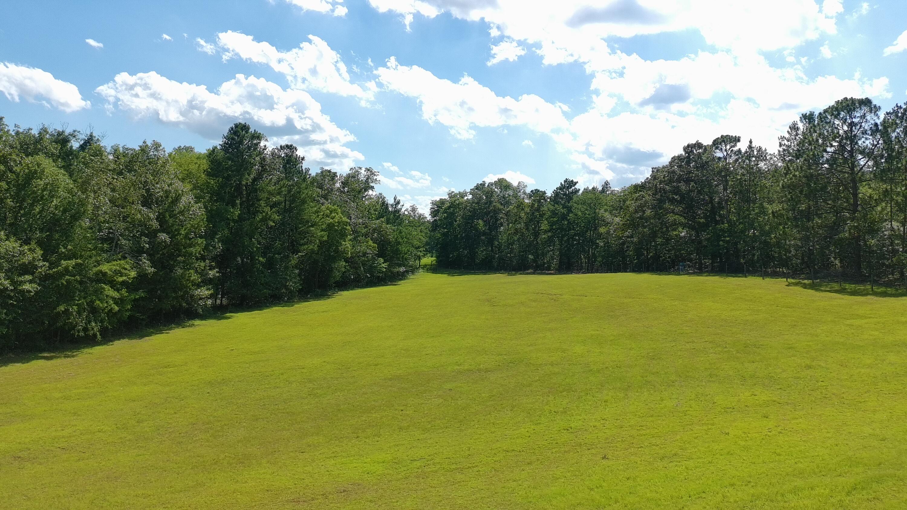 41-acres Whiskey Road Aiken, SC 29803 - Photo 31 of 44