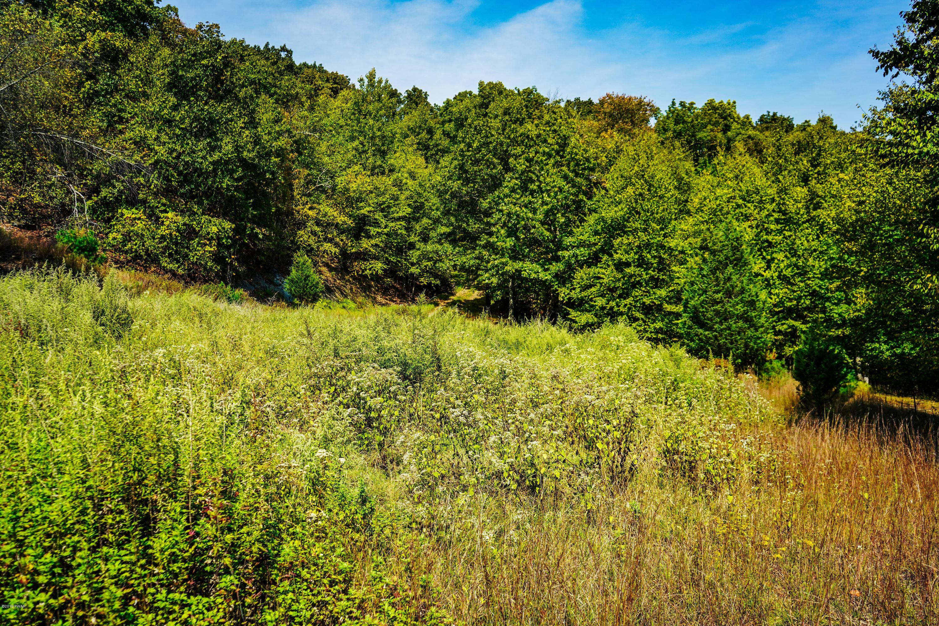 2313 Milford Road Bushkill, PA 18324 - Photo 18 of 21