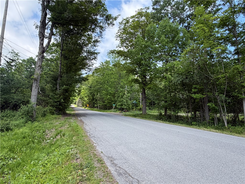Vl Reed Road Dansville, NY 14437 - Photo 2 of 29