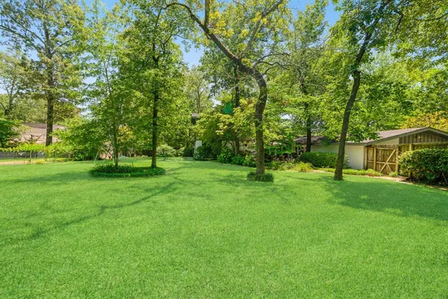 a view of a park with large trees