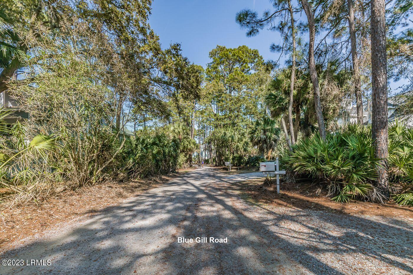 374 Blue Gill Road Fripp Island, SC 29920 - Photo 8 of 15 7 Blue Gill Road
