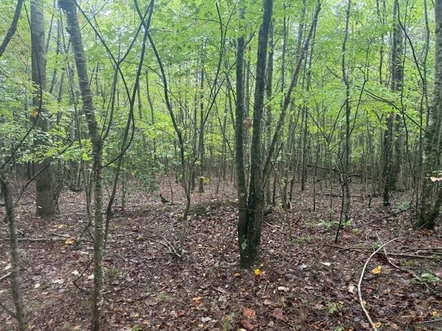 13 Sawmill Road Palmer, TN 37365 - Photo 11 of 16