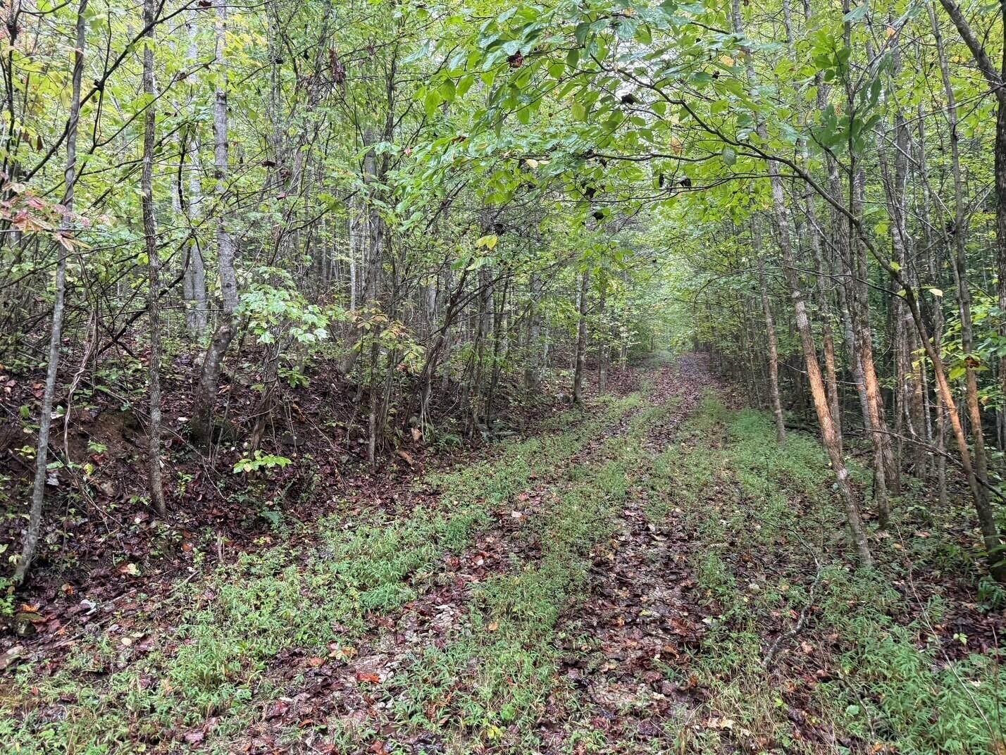 13 Sawmill Road Palmer, TN 37365 - Photo 4 of 16