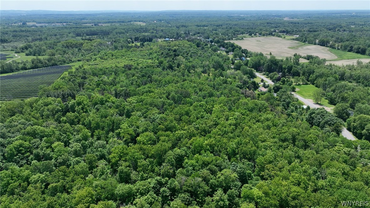 Hartshorn Road Corfu, NY 14036 - Photo 12 of 14